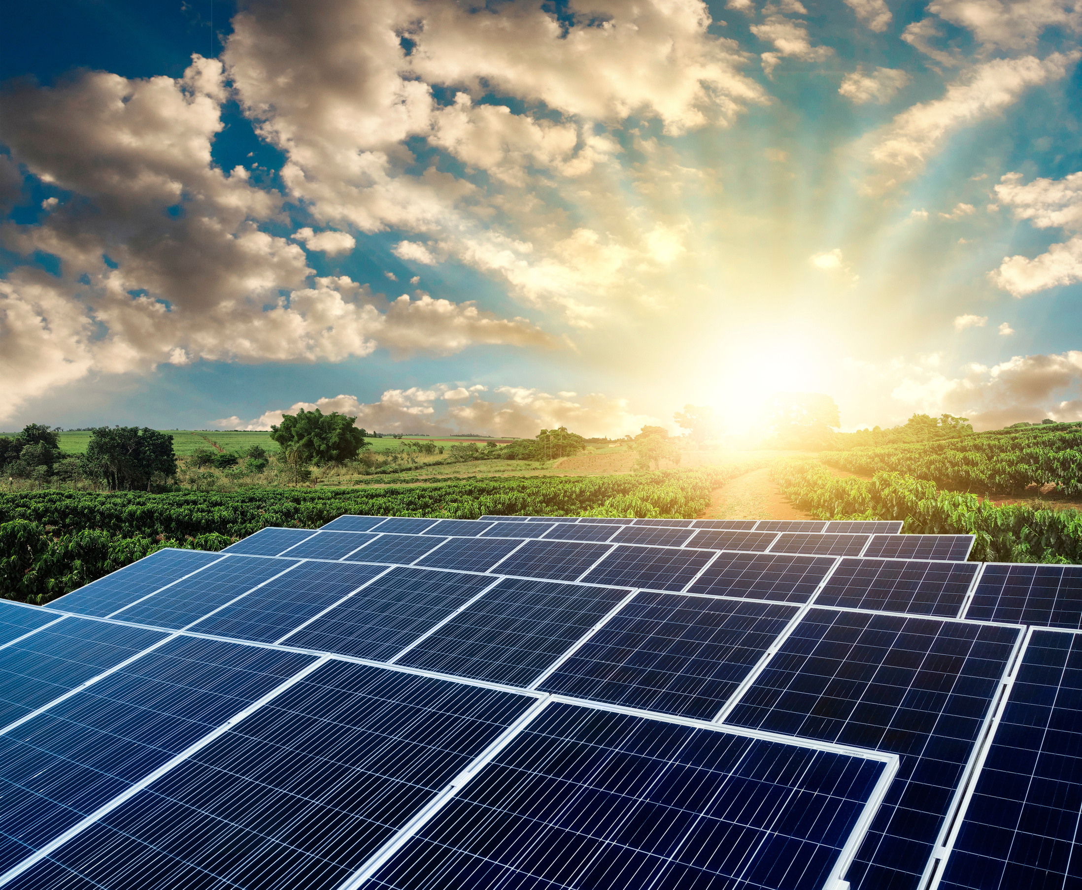Sunset Over Solar Energy Farm
